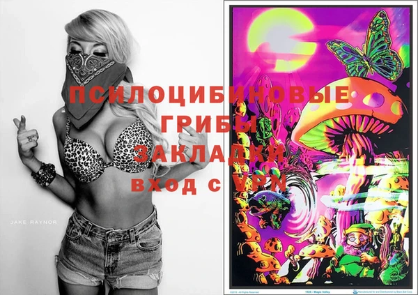 ECSTASY Белоозёрский