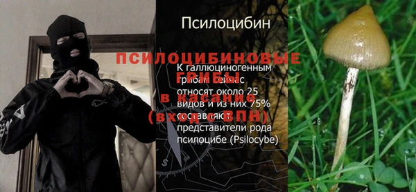 марки nbome Беломорск