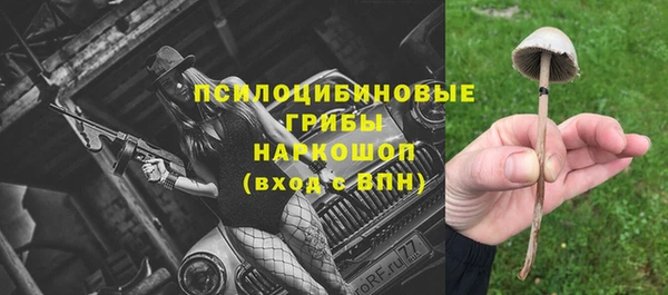 таблы Белокуриха