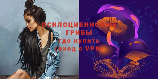таблы Белокуриха