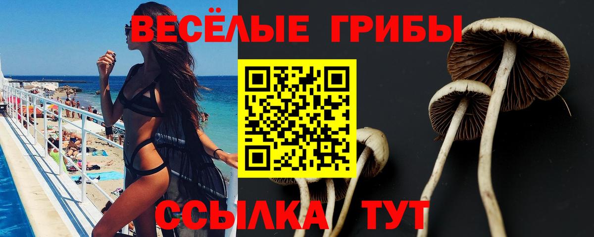 Псилоцибиновые грибы Magic Shrooms Воркута